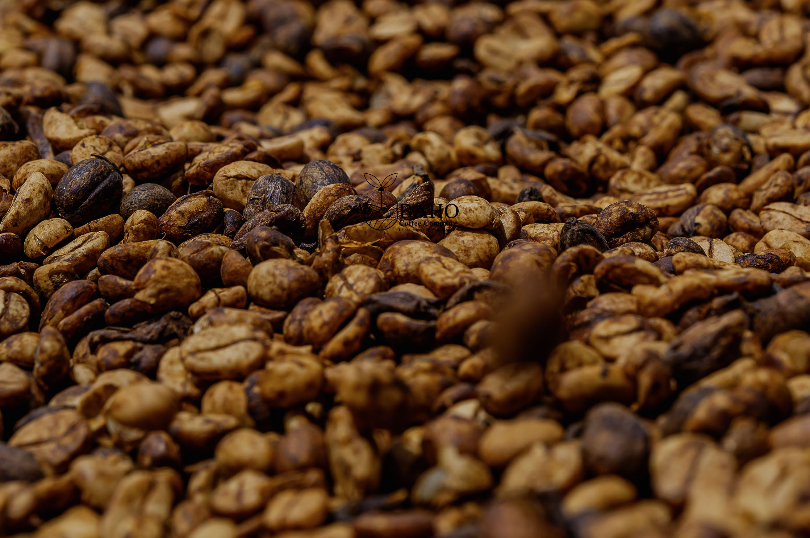 Baho Coffee Instagram post