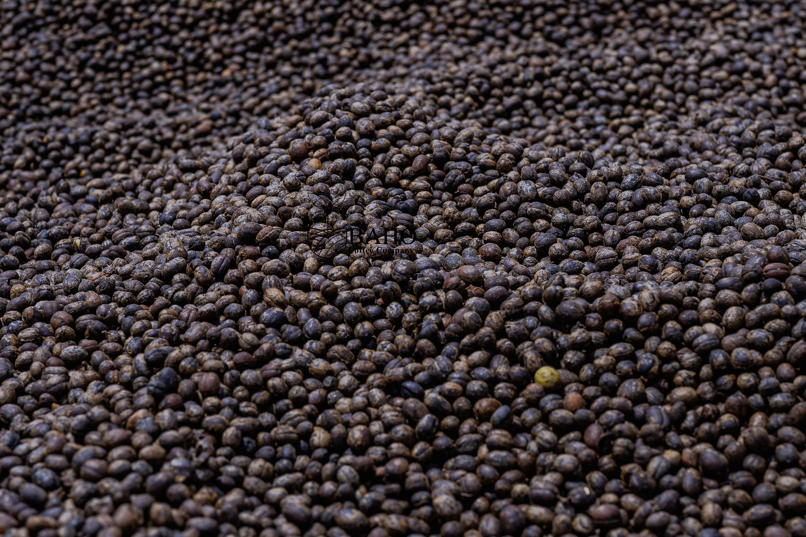 Gitoki Natural Coffee