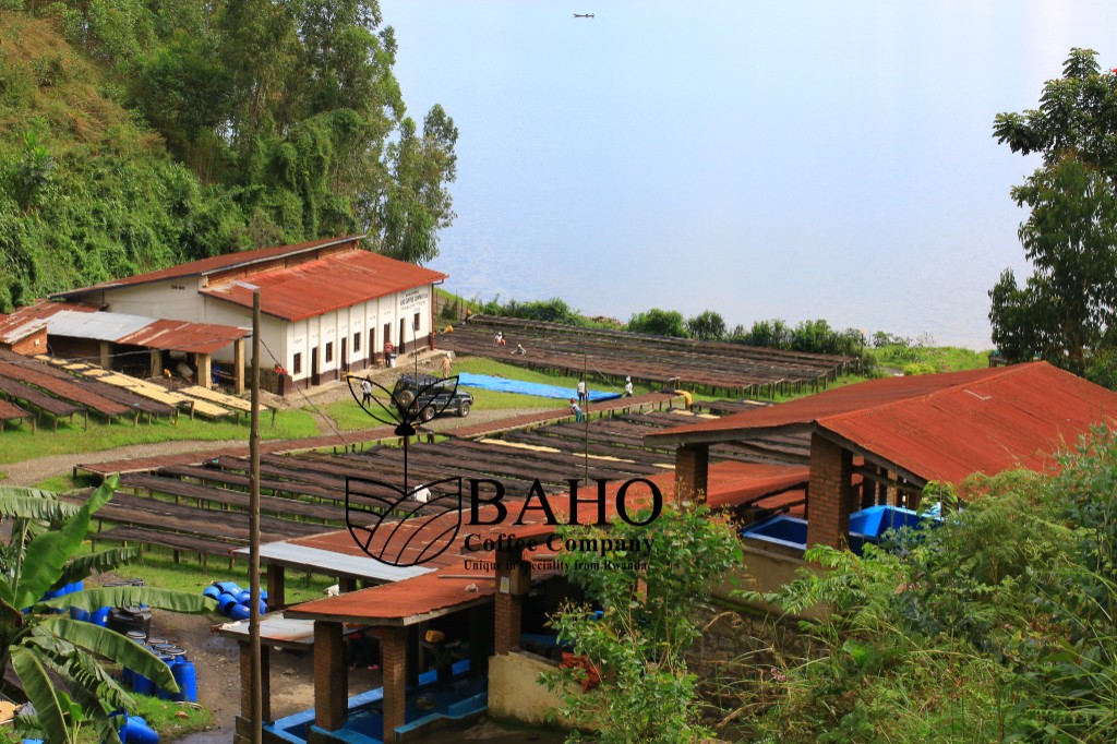 Ngoma Coffee Washing Station